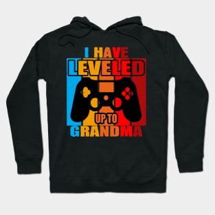 I have leveled my grandma couple | grandpa and grandma for gaming and play Hoodie